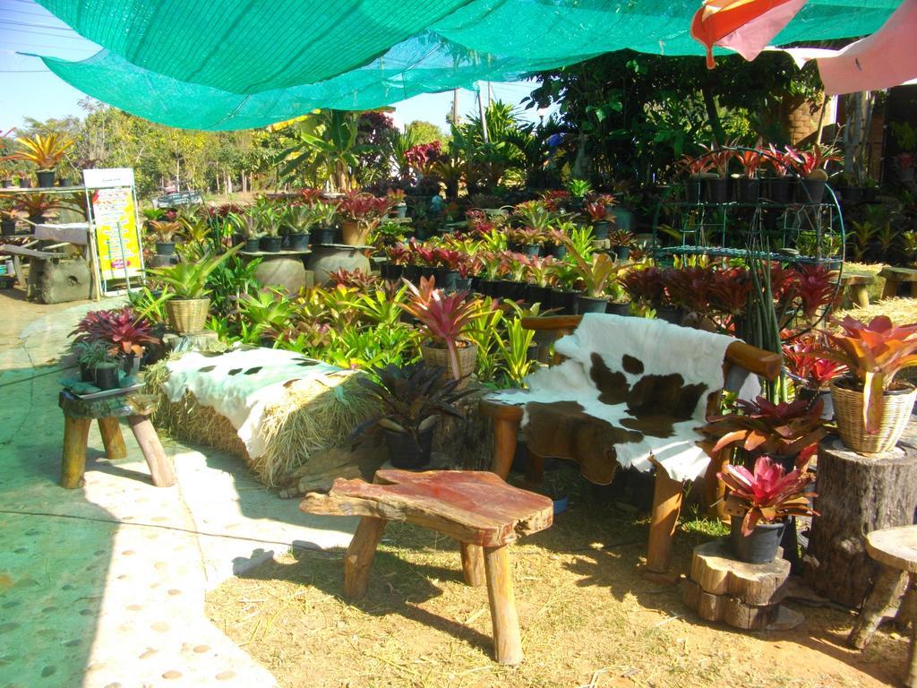 Indian View Hotel Khao Kho Esterno foto